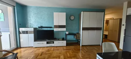 Zmaj Ognjena Vuka | 4zida.rs