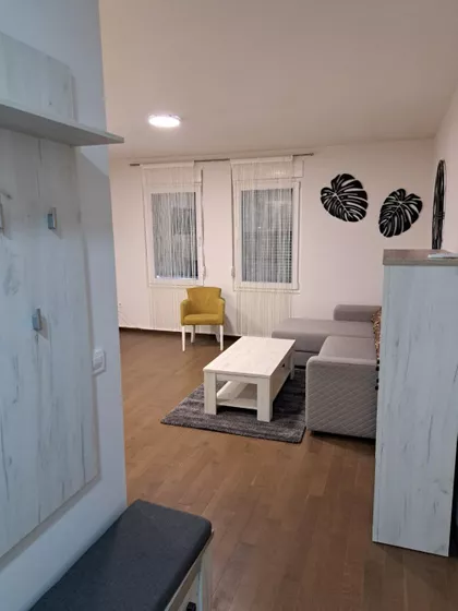 Prote Đurića | 4zida.rs