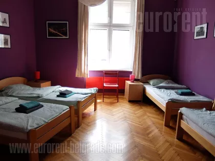 ZELENI VENAC | 4zida.rs