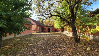 Hajdukovo | 4zida.rs