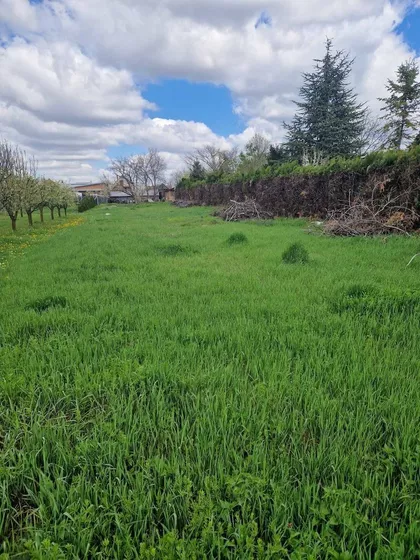 Stara Pazova | 4zida.rs