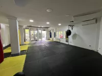 Novi Sad - Centar, Stari Grad, Gradske lokacije, Novi Sad | 4zida.rs