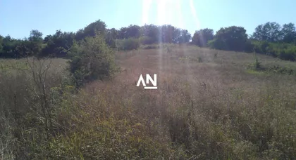 29. novembra | 4zida.rs