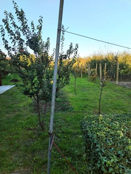 20 Juli 12 | 4zida.rs