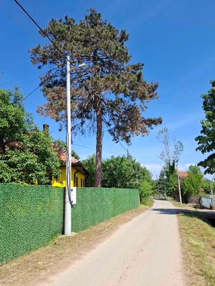 Vinogradarska bb | 4zida.rs