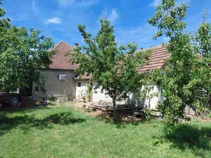 Opština Žitište, Ravni Topolovac | 4zida.rs