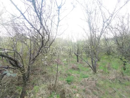 Velika Remeta | 4zida.rs