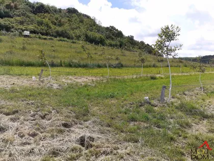 Čortanovci | 4zida.rs