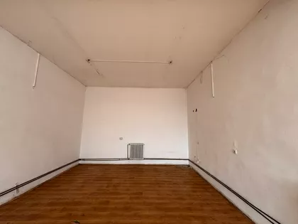 Pita Maravića | 4zida.rs