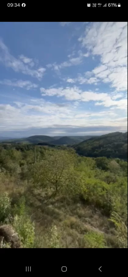 Drača | 4zida.rs