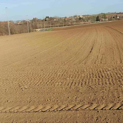 Spomenička | 4zida.rs