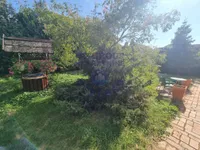 Veternik, Gradske lokacije, Novi Sad | 4zida.rs