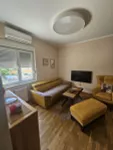 Socijalno, Rotkvarija, Gradske lokacije, Novi Sad | 4zida.rs | 4zida.rs