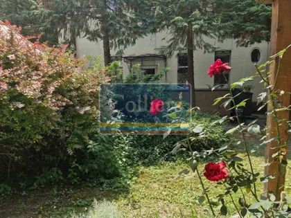 Puskinova | 4zida.rs