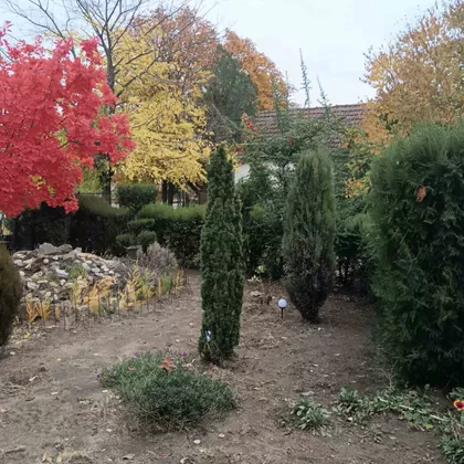 Makova Sedmica | 4zida.rs