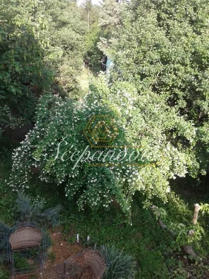 Velika Remeta | 4zida.rs