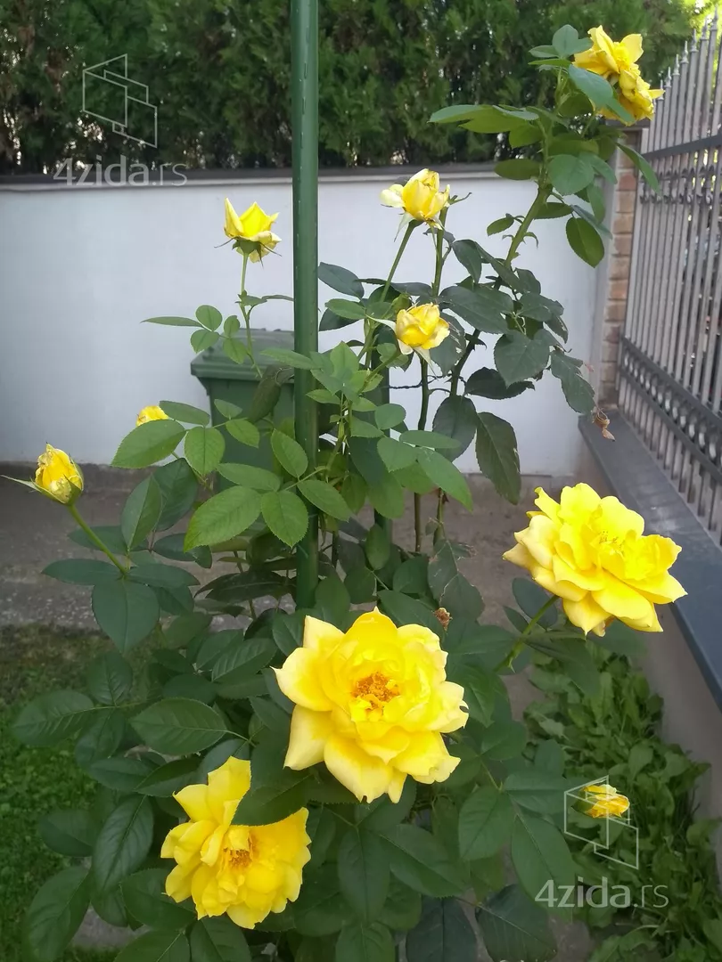 2-etažna kuća | 4zida