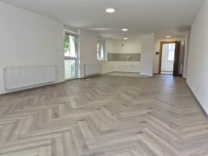 Južni Telep | 4zida.rs