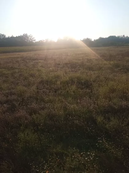 Vikendaška | 4zida.rs