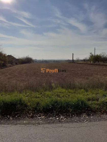 Hajduk Veljka | 4zida.rs