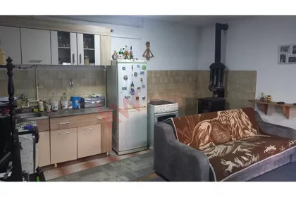 Stanka Vlasotincanina | 4zida.rs