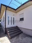 Lokal | 4zida