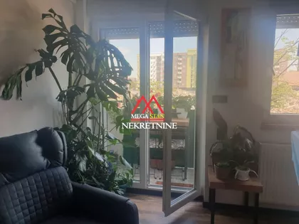 Marka Miljanova | 4zida.rs