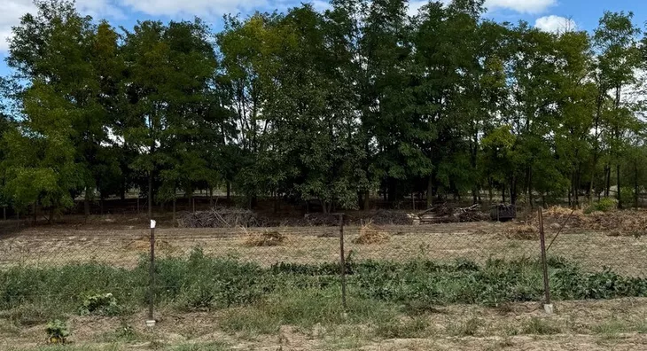 Poljoprivredno zemljište | 4zida