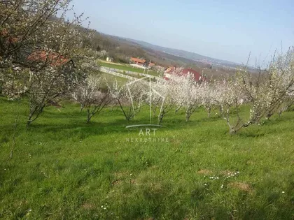 Put za pećinu | 4zida.rs