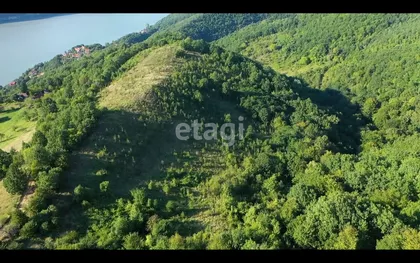 Kralja Stefana Prvovenčanog | 4zida.rs