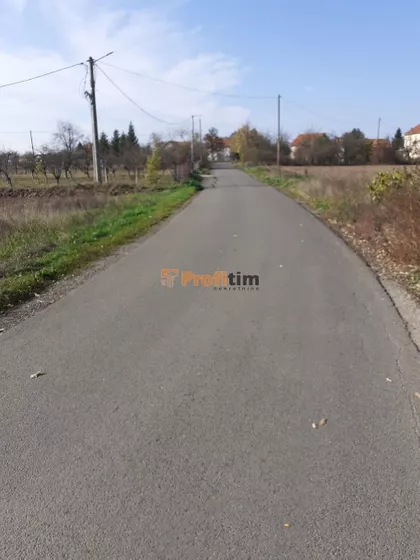 Hajduk Veljka | 4zida.rs