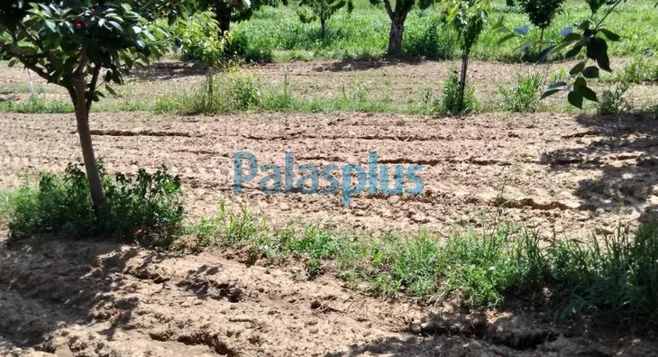 Poljoprivredno zemljište | 4zida