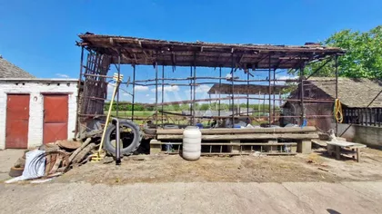 Bački Brestovac | 4zida.rs