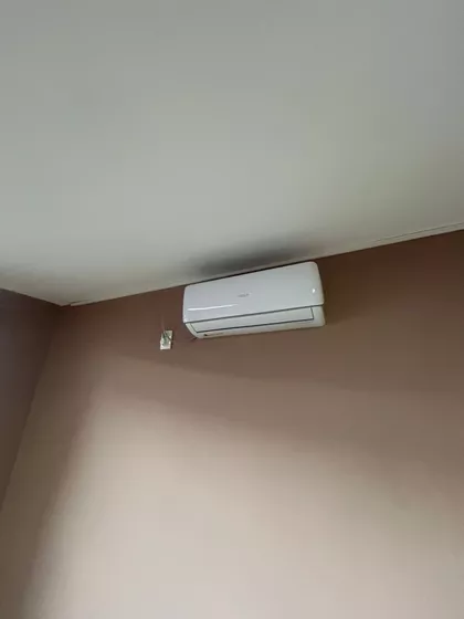 Lole Ribara | 4zida.rs