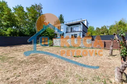 Petra Božovića | 4zida.rs