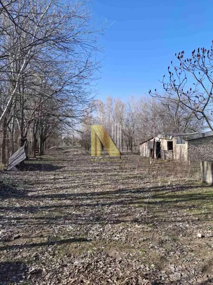 Makova Sedmica | 4zida.rs