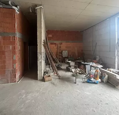 Luja Pastera | 4zida.rs