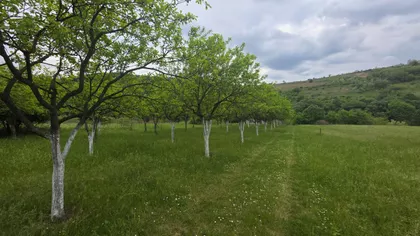 Rakovac | 4zida.rs