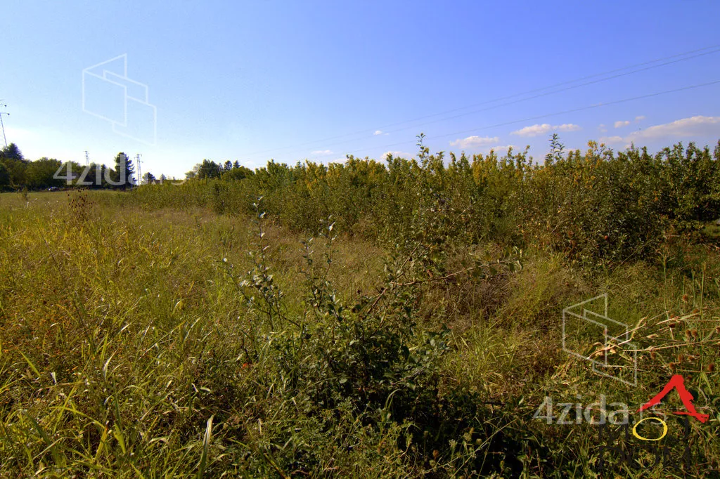 Plac | 4zida