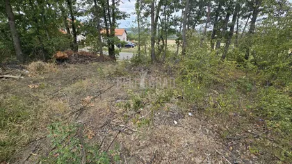 Kosmajski venac | 4zida.rs