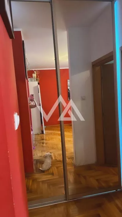 Pilota Mihajla Petrovića | 4zida.rs