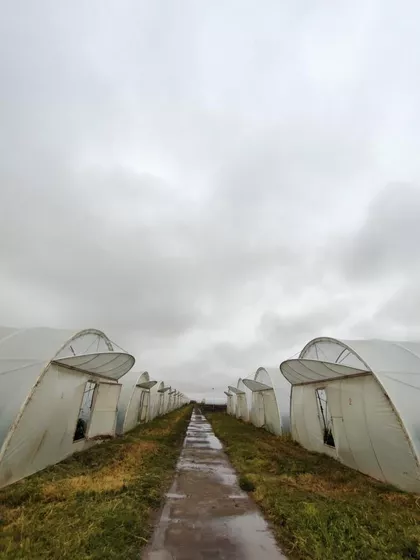 Gradske lokacije | 4zida.rs