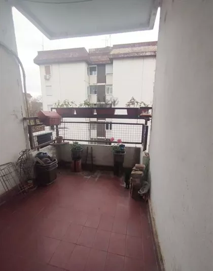 Tadeuša Košćuška | 4zida.rs