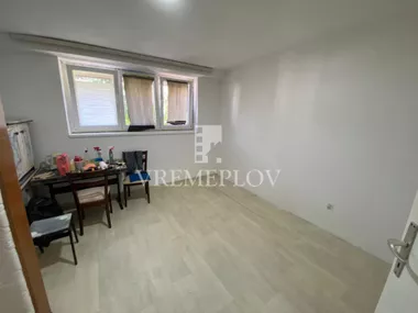 Diznijeva