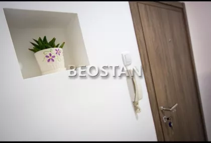 Kneginje Ljubice | 4zida.rs