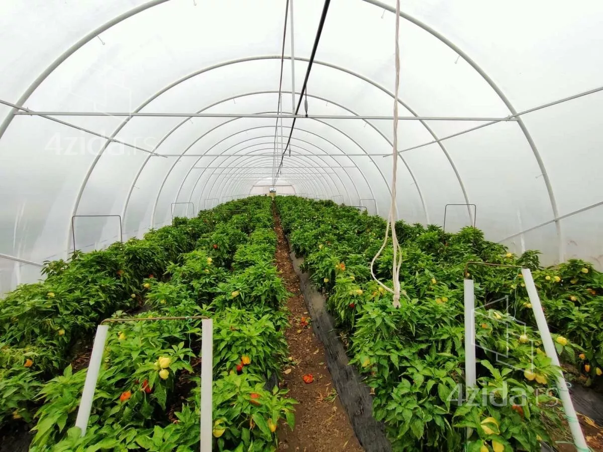 Poljoprivredno zemljište | 4zida