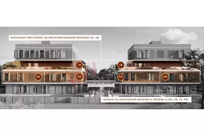 Augusta Cesarca | 4zida.rs