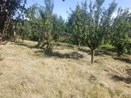 Kubršnička 24 | 4zida.rs