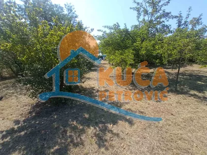 Gornja vrežina | 4zida.rs