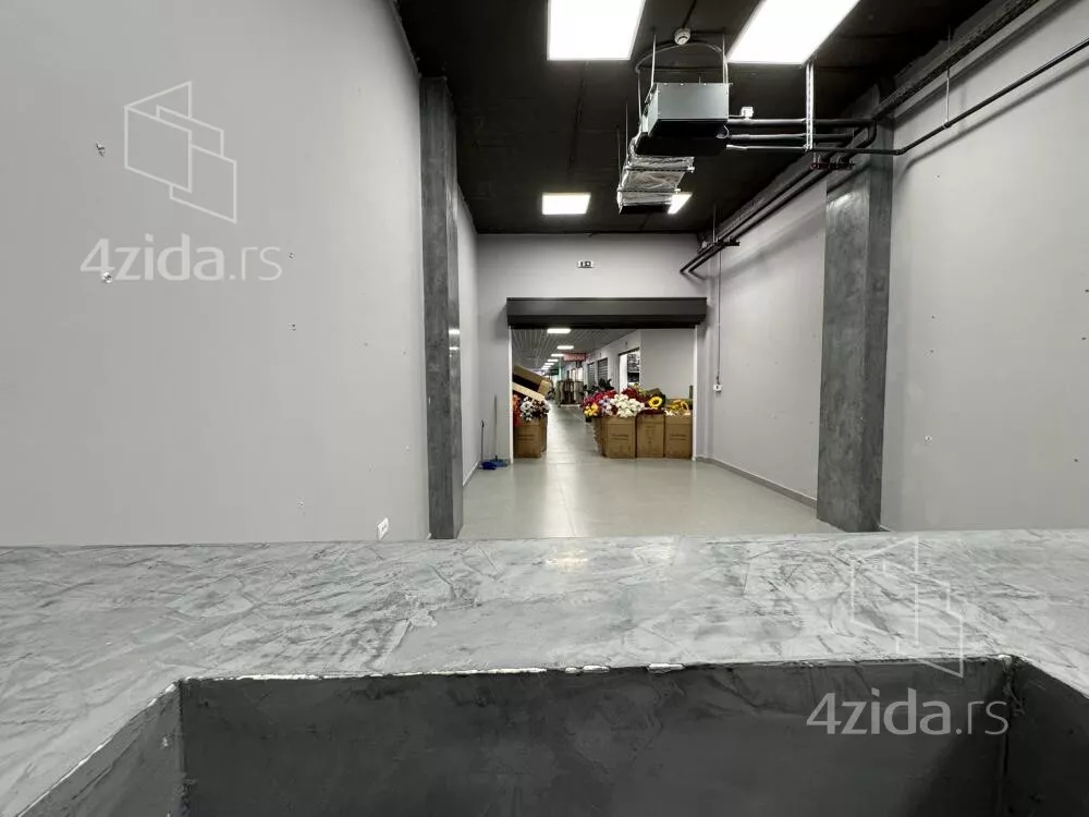 Lokal | 4zida